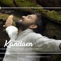 Neelaravil and andhimali (feat. Dil Vinu, Madhav Gopi & Dr Pradeep Sreekumar) - Single - Dr. Sandeep R