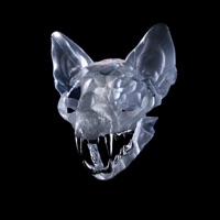 Thin Glass - Single - Darci & RMR