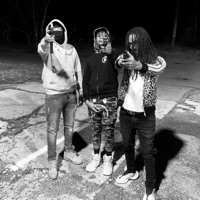 FisherFace - Single - Choppawood Rose