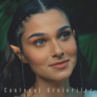 Cantecul Greierilor - Single - Majii & Theo Rose