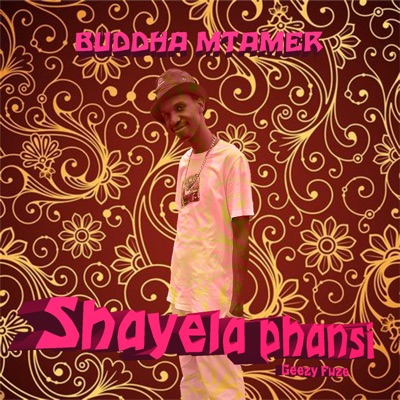 Shayela Phansi - Single