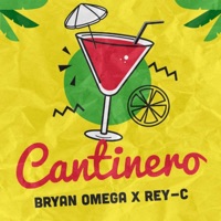 Cantinero (feat. Rey-C) - Single - Bryan Omega