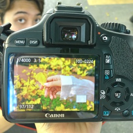 ผู้ถูกเลือกให้ผิดหวัง (ดอกไม้ฤดูหนาว) เรนิษรา