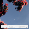Ourson - This Is Love Grafik