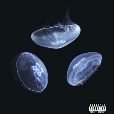 Hydropulse (feat. KIDMAY & ROFFU LDP) - Single