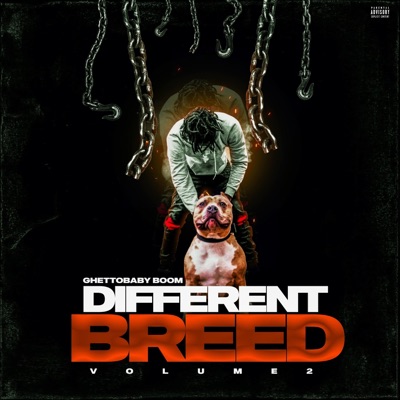 DIFFERENT BREED, Vol. 2