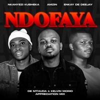 Ndofaya (De Mthuda & Kelvin Momo Appreciation Mix) - Nkanyezi Kubheka, Amzin & Enkay De Deejay