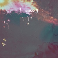luminance II - Single - Learbvicks