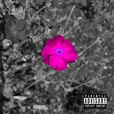 Off the Fence (feat. Tyler Hustle & Fids) - Single