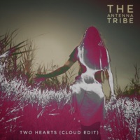 Two Hearts (feat. Silke) [Cloud Edit] - Single - The Antenna Tribe