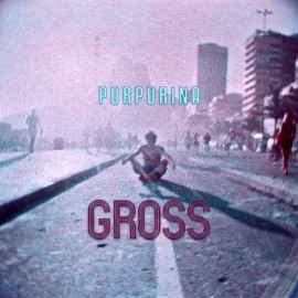 Purpurina (feat. Carol Navarro) Gross