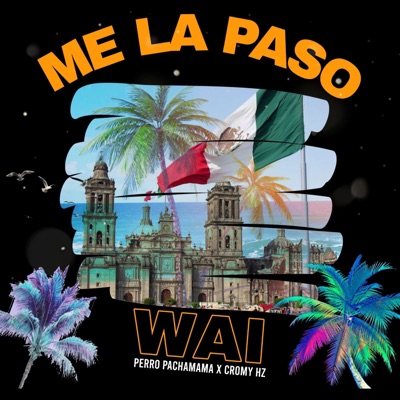 Me la Paso Wai - Single