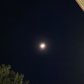 Rosewood Loflyier & Alazko