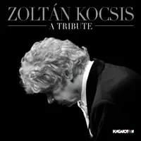 Piano Concerto No. 6 in B-Flat Major, K. 238: II. [Andante un poco adagio] — Franz Liszt Chamber Orchestra & Kocsis Zoltan