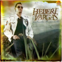 Pedacitos de Mi Vida - Hebert Vargas
