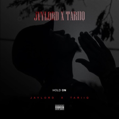 Hold On (feat. Tariiq) - Single