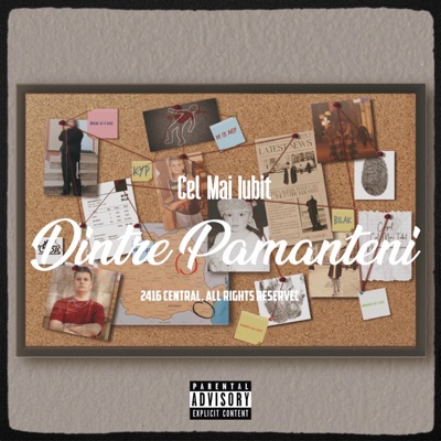 Cel Mai Iubit Dintre Pamanteni (feat. Bilak) - Single