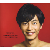 Enka Meikyoku Collection 20: Choito Kimagure Wataridori