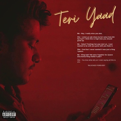 Teri Yaad (feat. Safina Khan & The Murad Anwar) - Single