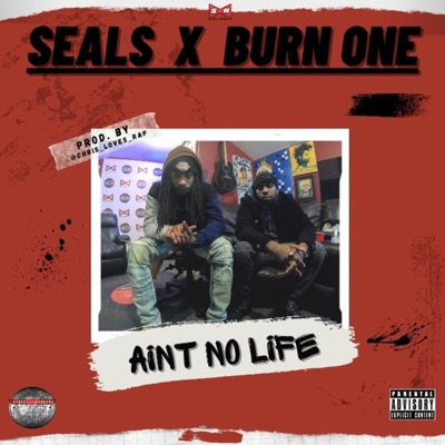 Aint no Life (feat. Seals) - Single