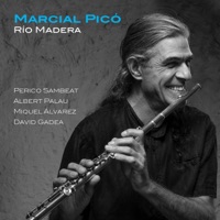 Río Madera (feat. Perico Sambeat, Albert Palau, Miquel Álvarez, David Gadea) - Single - Marcial Picó