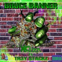 Bruce Banner (feat. Tr3y $tackz) - Single - DKlien