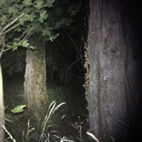 SKIN-WALKERS - Single - Pary!