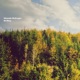 Birdboy Single