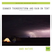 Thunderstorm and Rain on Tent artwork