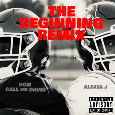 The Beginning (feat. Aleata J) [Remix] - Single