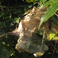 Suicide Tuesday (feat. Heavn) - Single - jd