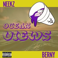 Ocean Views - Single - Neekz$