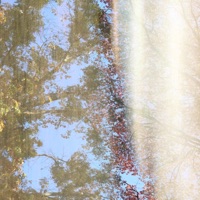 Limerence (feat. Digifern) - Single - Sugiwo