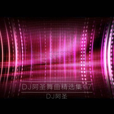 DJ阿圣舞曲精选集17