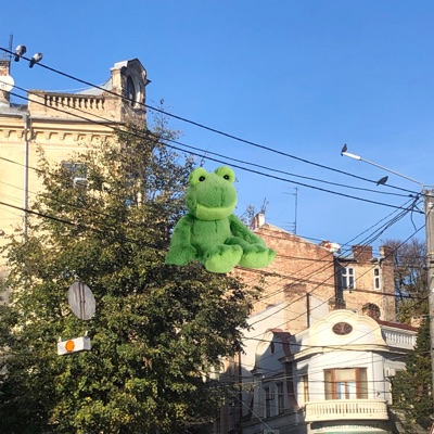 THEY REALLY CAN'T TAKE CARE OF YOU - Single