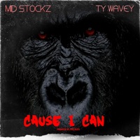 Cause I Can (feat. Ty Wavey) - Single - Mid Stockz