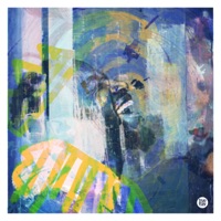 Crazy (feat. Foreign Beggars & Elea Braaz) - Single - IV RO