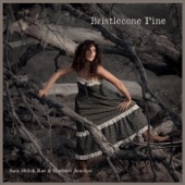 Sara Shiloh Rae & Bluebird Junction - Bristlecone Pine