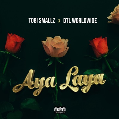 Aya Laya (feat. DTL WorLDWIDE) - Single