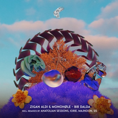 Bir Dalda (SIS Remix) - Single