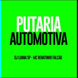 Putaria Automotiva DJ Luana SP & MC Renatinho Falcão