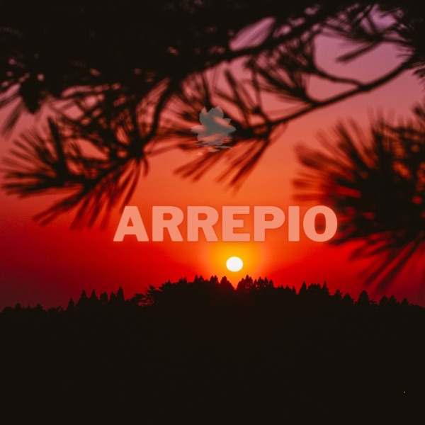 Arrepio (feat. Kitoko Sound, Arándano, Afro Dark & Din BEATS)