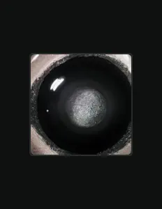 Ouve Sloki, vê vídeos de música, lê a biografia, vê as datas da digressão e muito mais!