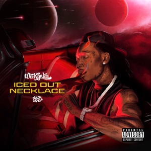Iced Out Necklace - Single