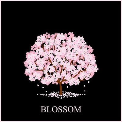 Blossom - Single