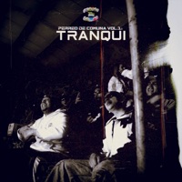 PERREO DE COMUNA VOL.1: TRANQUI (feat. ONEMIC & Pway Music) - Single - OG Records, Onyl & Diaz la voz