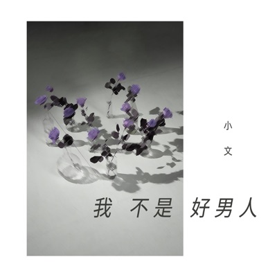 我不是好男人 - Single