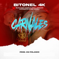 Carnales (feat. harold onell) - Single - Bitonel 4K, Romano Exponente, Dilon Baby & Chris Capell