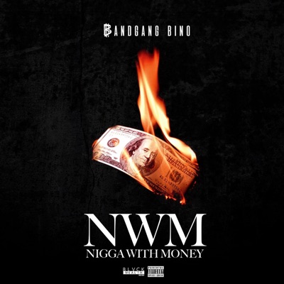NWM (Nigga With Money) - Single