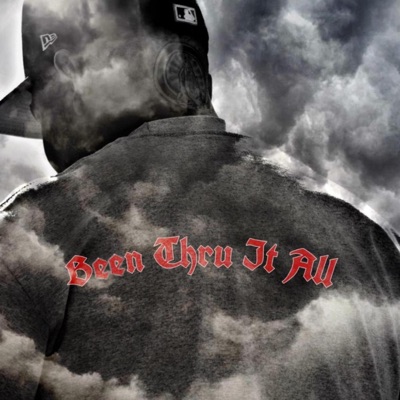 Been Thru It All - Single